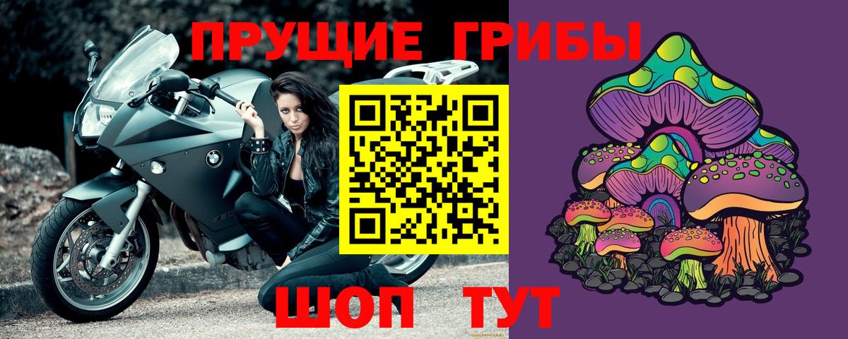Ростов-на-Дону  Псилоцибиновые грибы GOLDEN TEACHER  Вход с VPN 